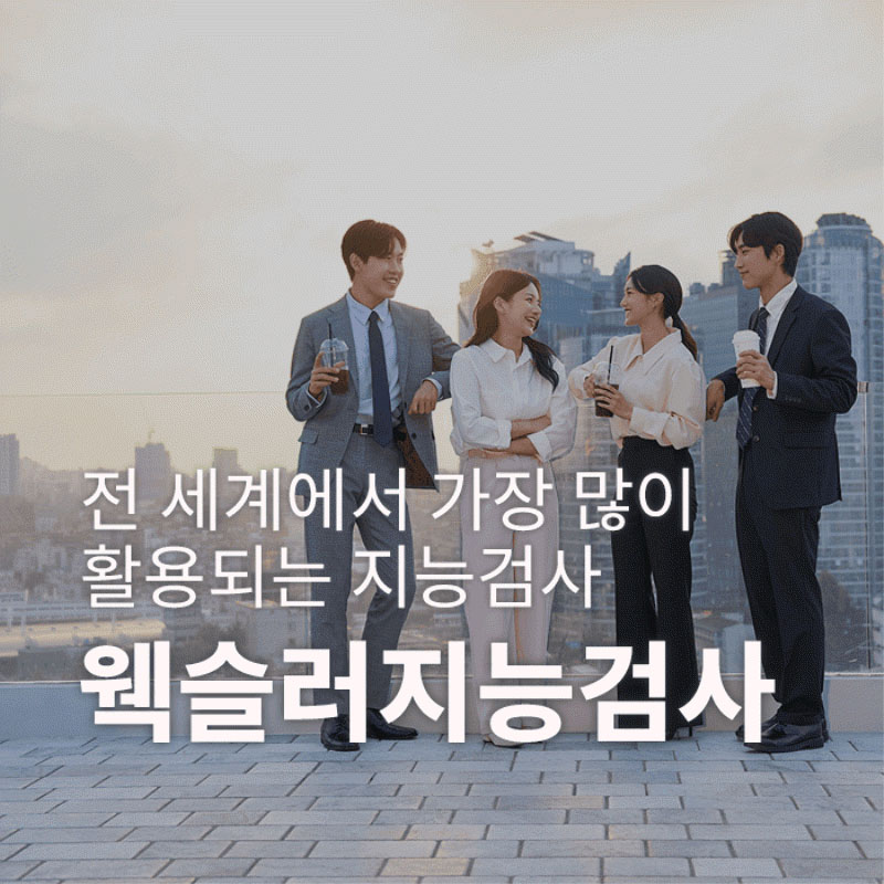 웩슬러지능검사-국가자격 임상심리사에 의한 대면검사